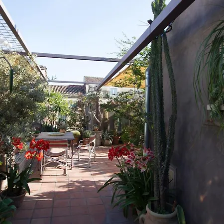 Apartment Tre Vie Con Terrazzo Giardino Pensile Catania