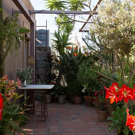 Apartment Tre Vie Con Terrazzo Giardino Pensile Catania