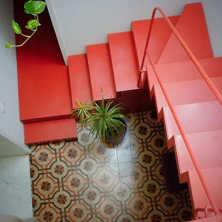 Apartment Tre Vie Con Terrazzo Giardino Pensile Catania