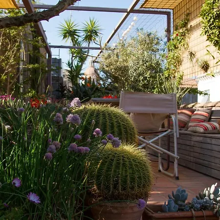 Tre Vie Con Terrazza Katanya