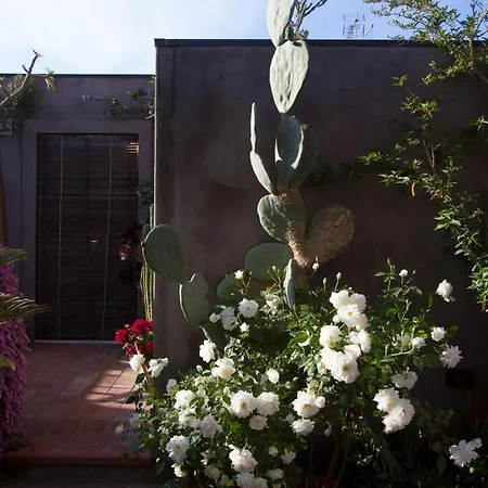 Tre Vie Con Terrazza Daire