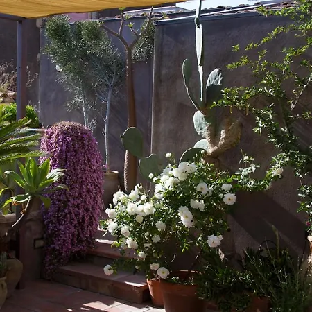 Tre Vie Con Terrazza * Katanya